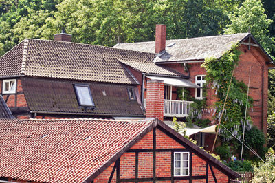 House against trees