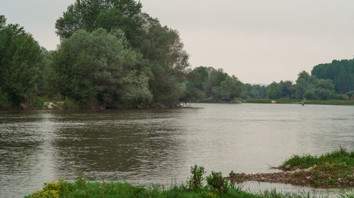 Scenic view of lake in forest against sky