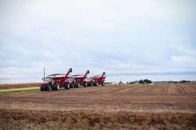 People working on agricultural field against sky