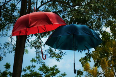 Low angle view of umbrella against trees