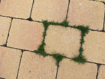 High angle view of shadow on paving stone