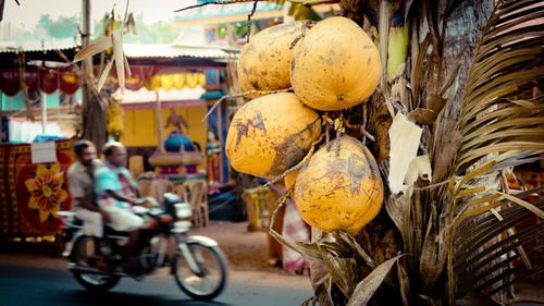 Coconut palm tree against men traveling on motorcycle on road