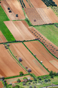 Aerial view of fertile fields in zadar region near adriatic coast