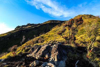 Scenic view of mountain against sky