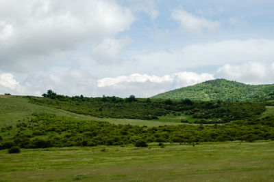 Scenic view of landscape against sky