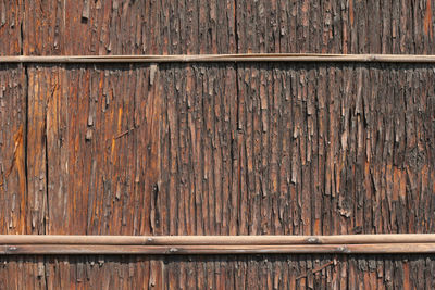 Full frame shot of tree bark texture wood wall