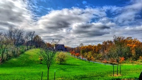 Trees on field against cloudy sky