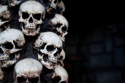 Close-up of human skull against black background