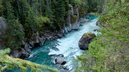 Stream flowing through rocks in forest