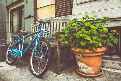 Bicycle parked by empty bench