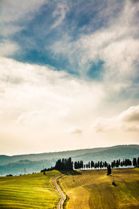 Scenic view of field against sky