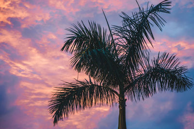 Low angle view of palm tree against sky during sunset