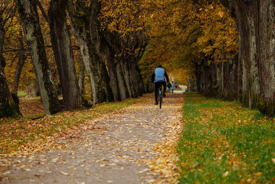 Rear view of man riding bicycle on footpath during autumn