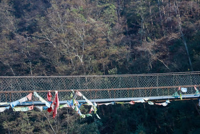 High angle view of bridge in forest