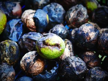 Close-up of walnuts