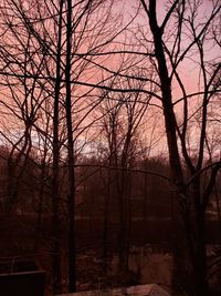 Silhouette bare trees in forest during winter