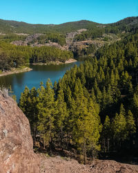 Scenic view of lake by trees against sky