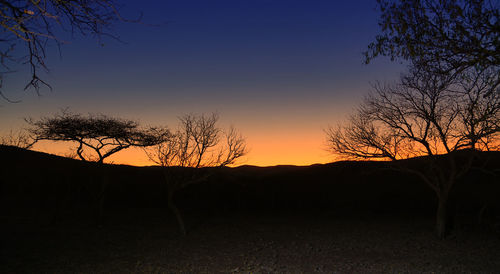 Silhouette bare trees on field against sky during sunset