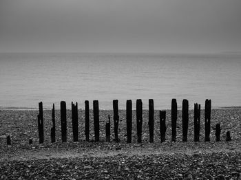 Wooden posts in sea against clear sky