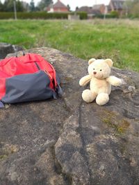 High angle view of stuffed toy on field
