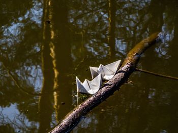 High angle view of paper boats floating in lake