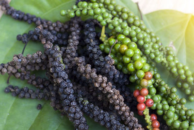 Close-up of grapes