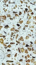 Full frame shot of leaves