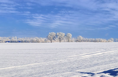 A white snow-covered piece of farmland in winter on a sunny day