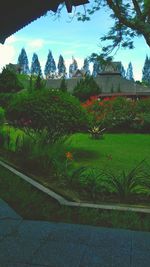 Plants and trees by building against sky