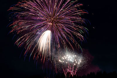 Low angle view of firework display at night