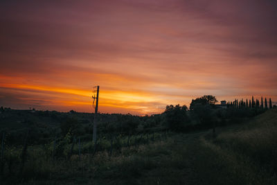 Scenic view of field against orange sky