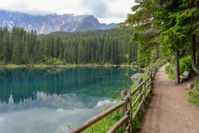 Scenic view of lake in forest against sky