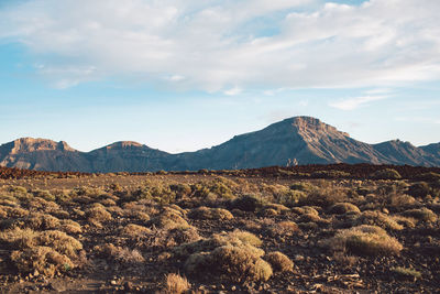 Scenic view of landscape and mountains against sky