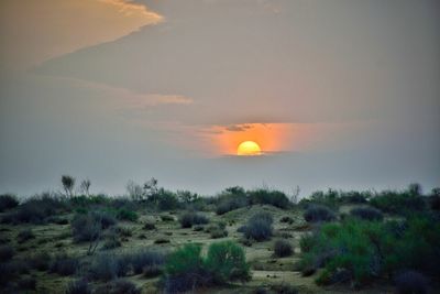 Scenic view of field against sky during sunset