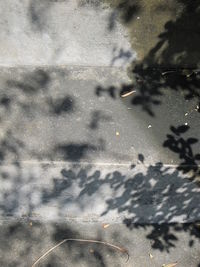 Close-up of puddle on road