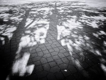 Shadow of people on street