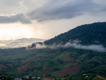 environment