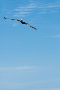 Low angle view of airplane flying against blue sky