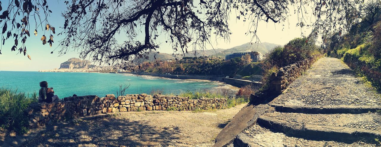 water, sea, tree, nature, sky, day, real people, outdoors, beach, beauty in nature, scenics, palm tree, horizon over water, close-up