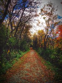 Footpath in park