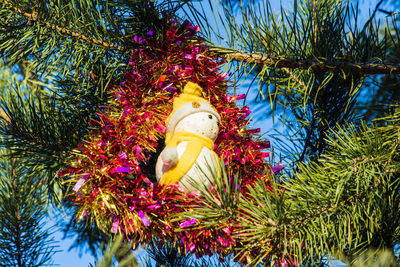 Close-up of christmas decorations hanging on tree