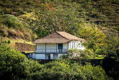 House on field by trees in forest