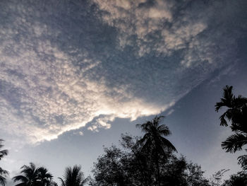 Low angle view of silhouette trees against sky