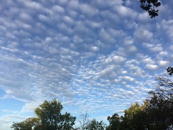 Low angle view of trees against cloudy sky