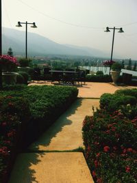 Scenic view of trees and plants against sky