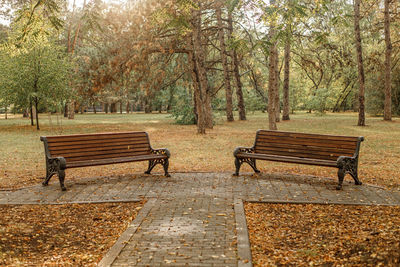 Empty bench in park during autumn