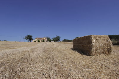 Agricultural field against clear blue sky