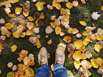 Low section of person standing on autumn leaves