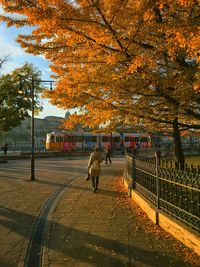 Rear view of people walking on road in city