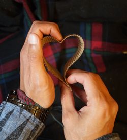 Cropped hand of man holding snake